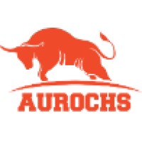 Aurochs IC Calculation Engine logo