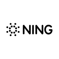 Ning for Businesses logo