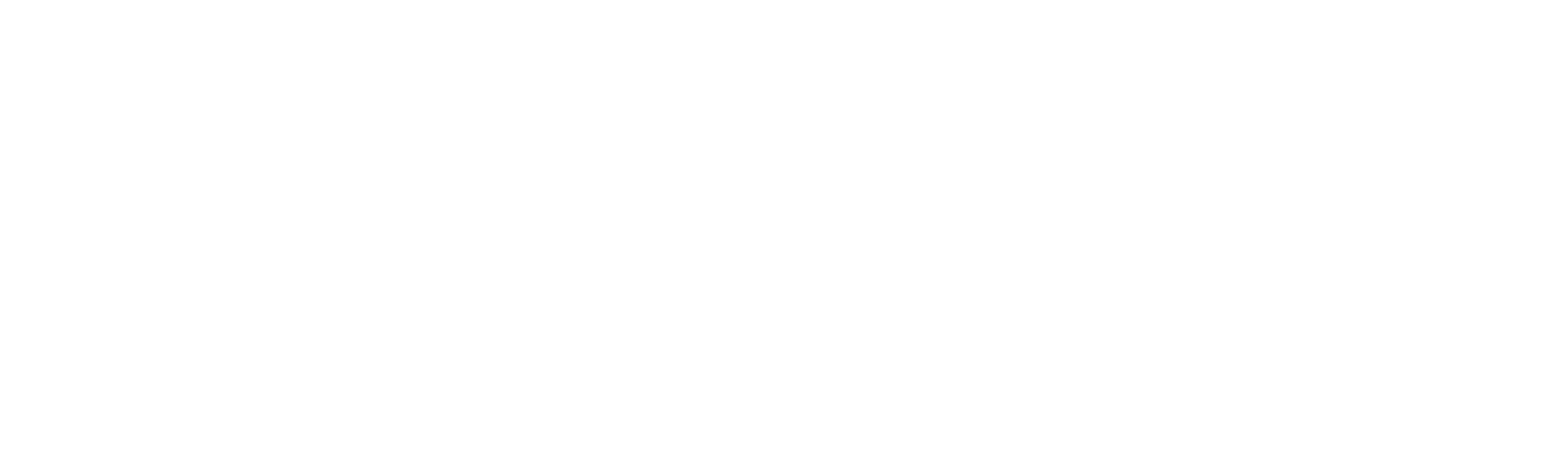 The Social Collective logo