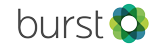 Burst logo