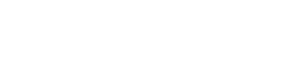 SavviSPX logo