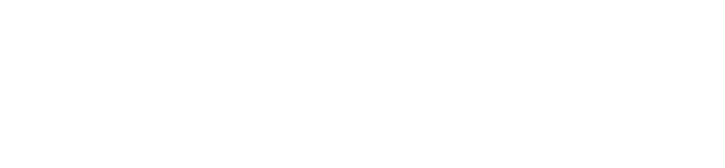 Wellbeing Checkpoint logo