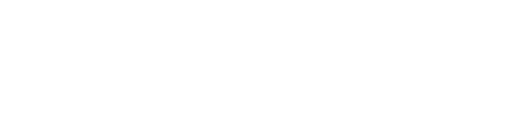 Smart CAPA logo