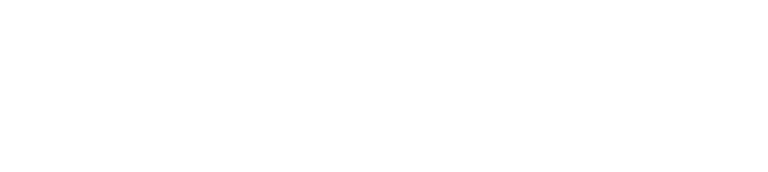 SafeToLoad logo