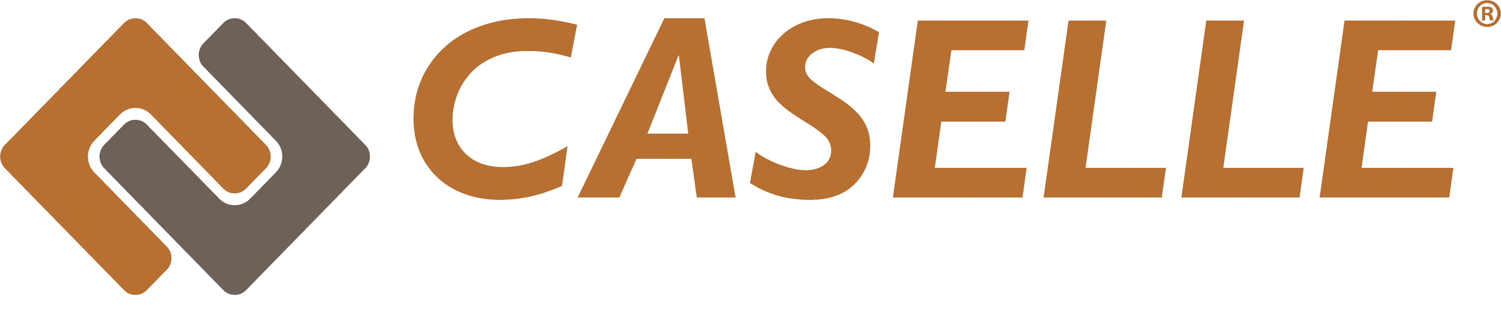 Caselle Court Management logo