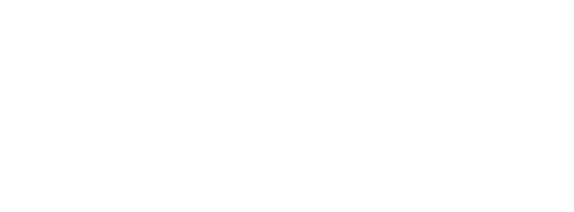 Nimble Author 2 logo