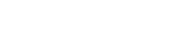 Solve CRM logo