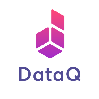 DataQ logo