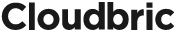 Cloudbric logo