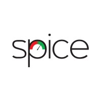Spice Insight logo
