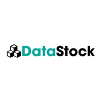 DataStock logo
