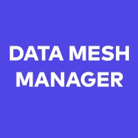Data Mesh Manager logo