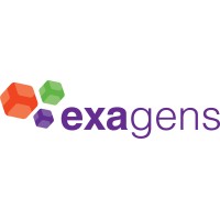 Exagens logo