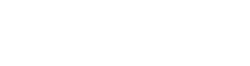 Vaultize DRM logo