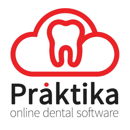 Praktika logo