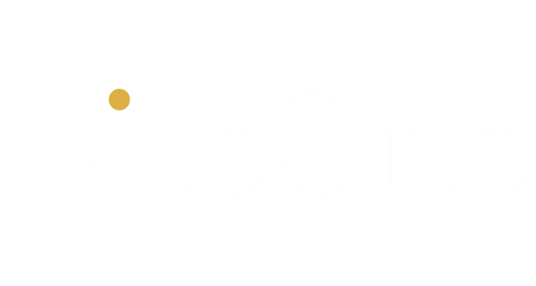 LiteSite logo