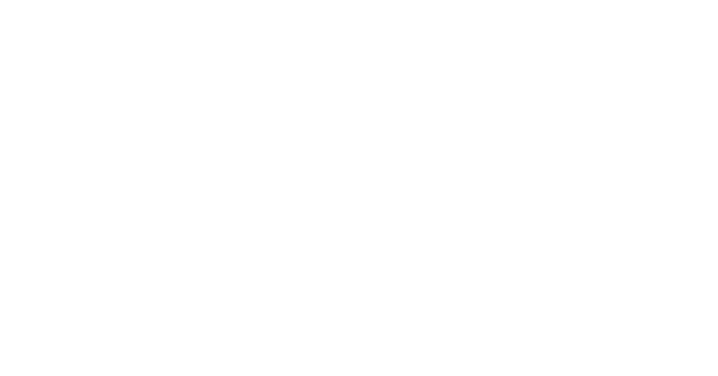 PREVISOFT logo