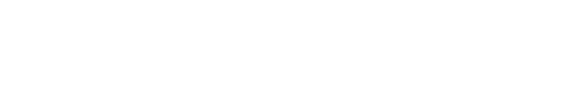 NewZapp logo