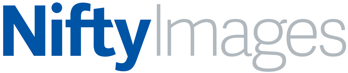 NiftyImages logo