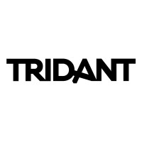 Tridant ERP logo