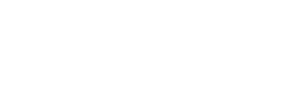 Nexus21 logo