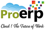 ProERP logo