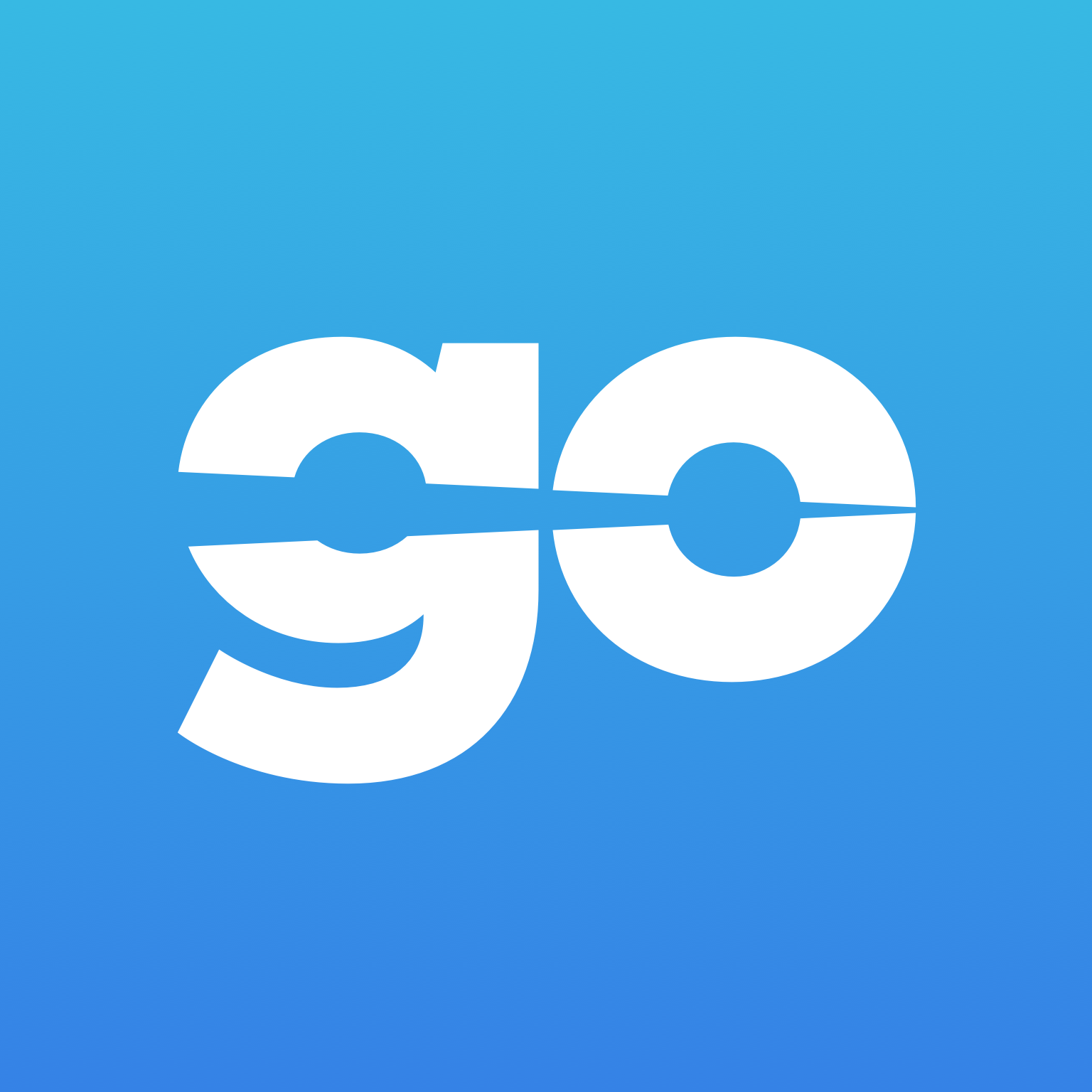 Teamgo logo