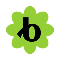 Bloomerang Volunteer logo