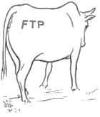 FTP in the Cloud logo