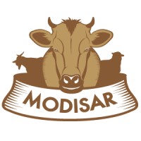 Modisar logo