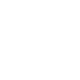 TRIADEM StylePlugs logo