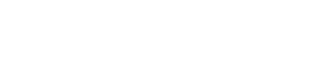 Cheetah Delivery logo