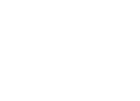 Calenek logo