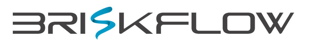 BriskFlow logo