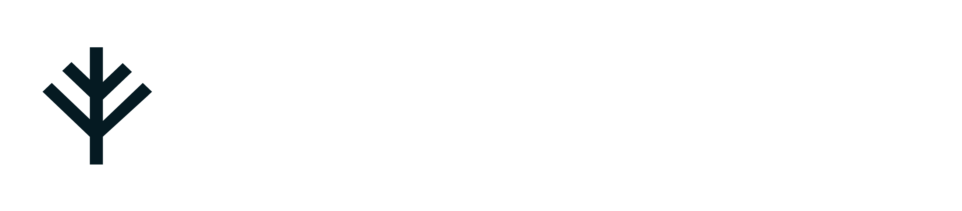 Lyfeguard logo