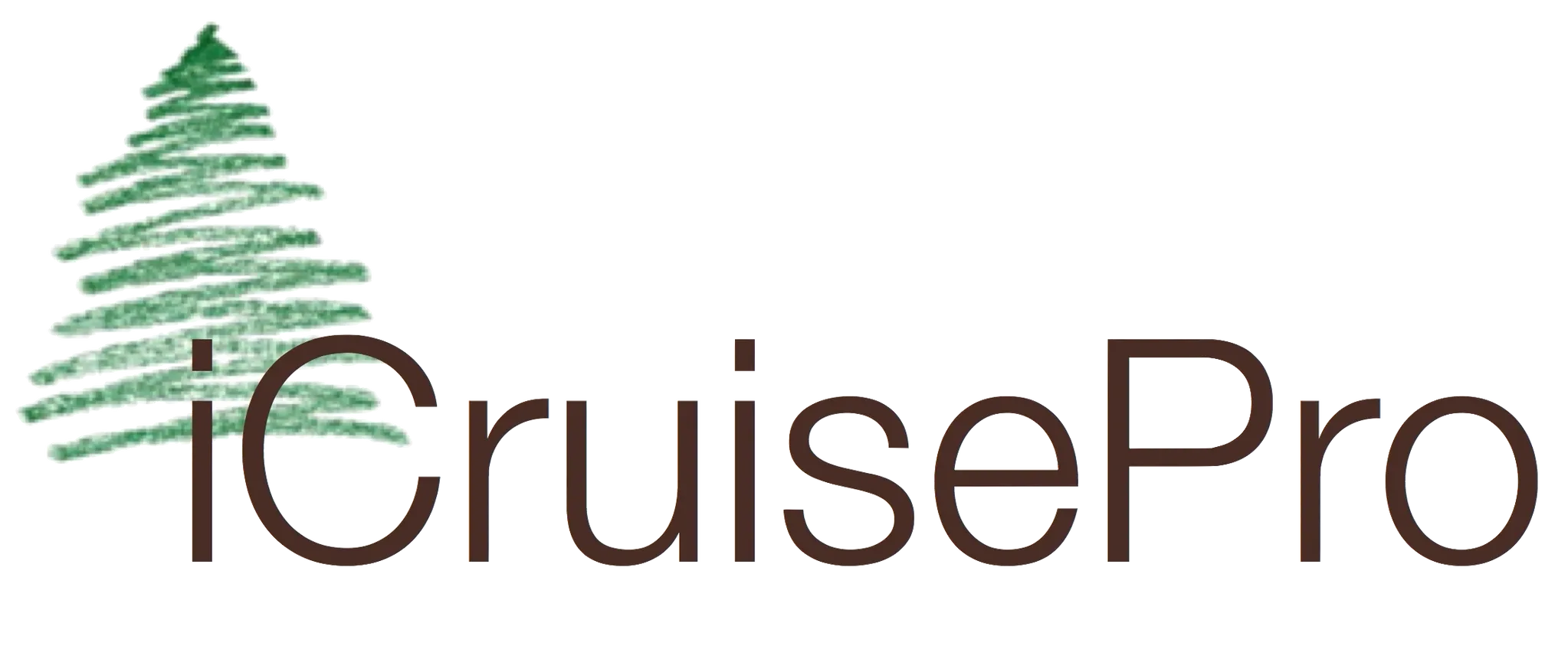 iCruisePro logo