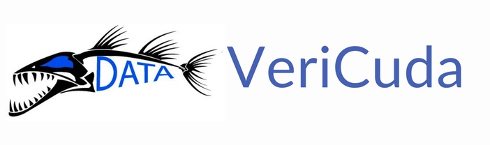 VeriCuda Inspection System logo