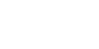 Dibs logo