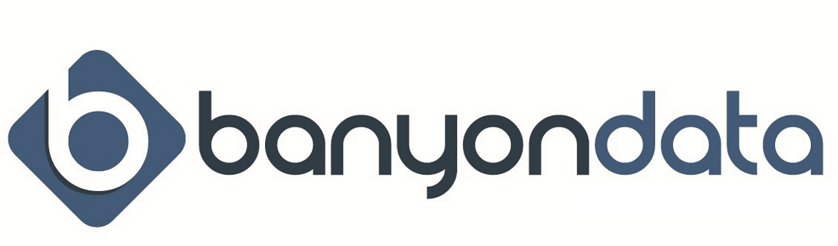 Banyon Fund Accounting logo