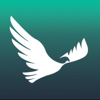 Osprey Flight Solutions logo