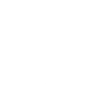 TerraStride Pro logo