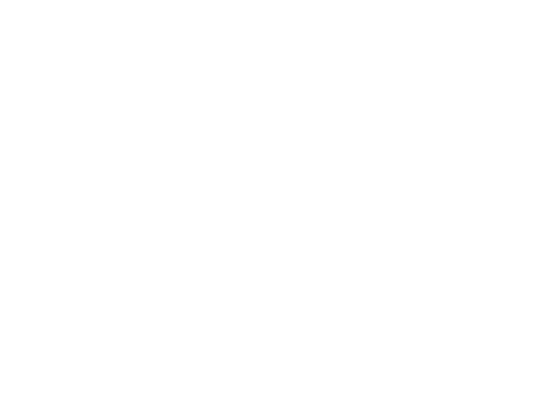 CATALIZR logo