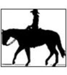 Horse Show for Windows logo