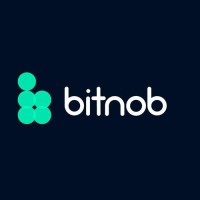 Bitnob (bitnob.com) logo