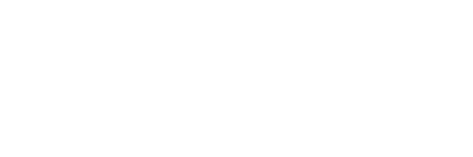 Dodobird logo