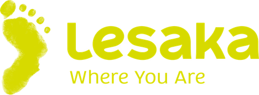 Lesaka Fintech Platform logo