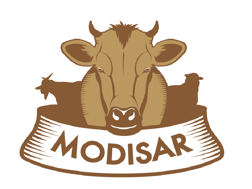Modisar logo