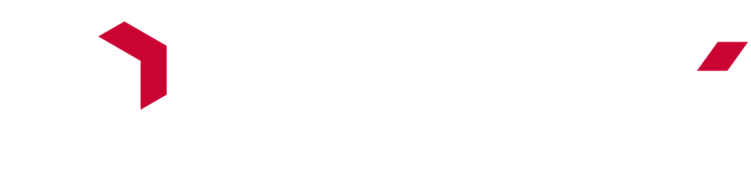 Rubyx Digital Lending Platform logo