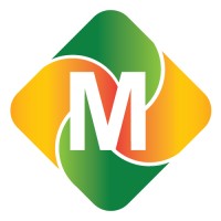 Spin Mobile Credit Decision Engine logo