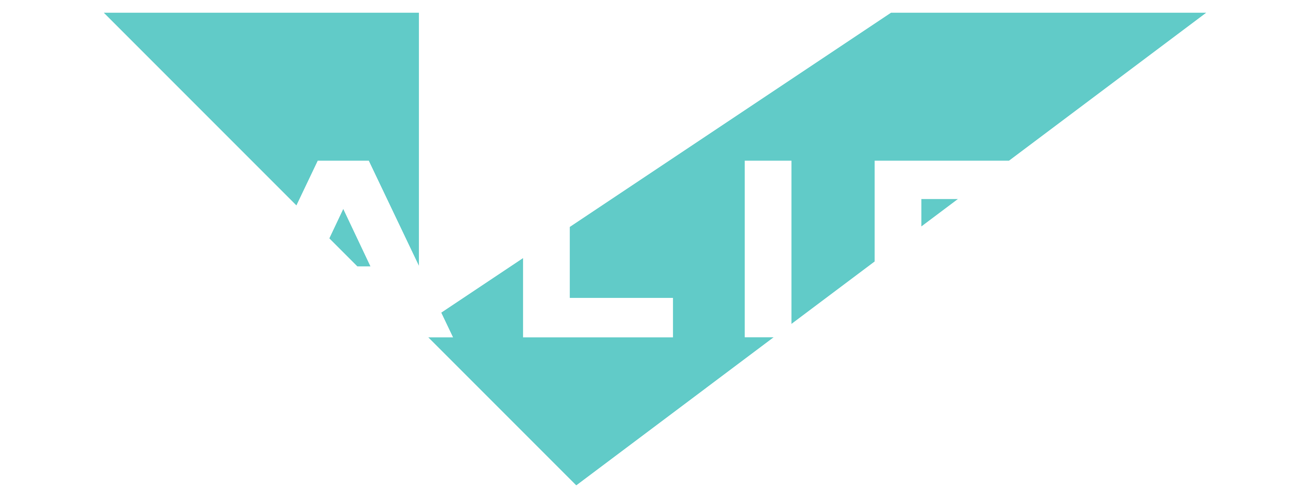 Valify Digital Identity Platform logo